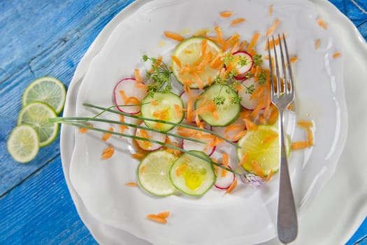 Presentation of the outline-based vegetable radish and cucumber 