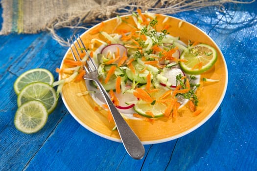 Presentation of the outline-based vegetable radish and cucumber 