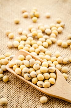 Soy beans in wooden spoon on sack background.