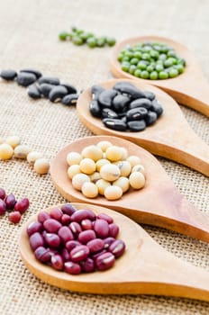 Multicolored beans in wooden spoon on sack background.