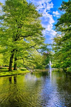 Lake with beautiful white swans in Keukenhof park, Lisse, Holland.