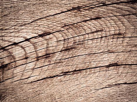 abstract background or texture line crack on oak wood