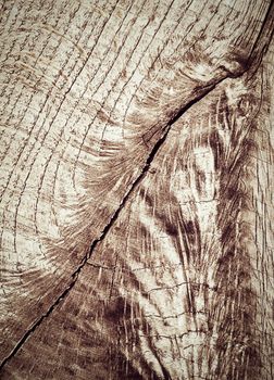 abstract background or texture spooky retro pattern old oak wood