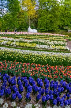 Drop monument with colorful daffodils and tulips, Keukenhof Park, Lisse in Holland.