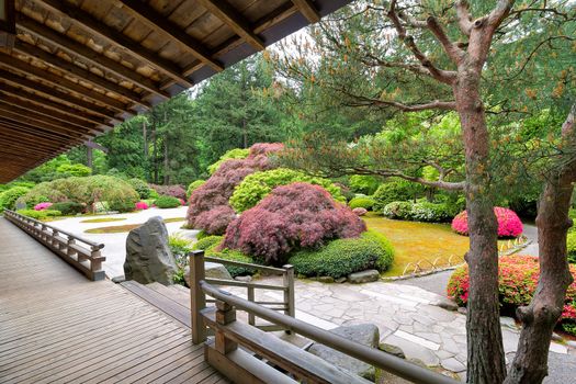 Japanese Flat Garden View from the Veranda of the Pavilion in Spring