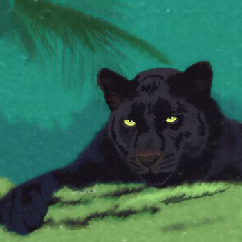 Wild cats in the habitat. Black Panther