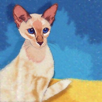 Oriental Shorthair. Watercolor sketch illustration of a cat at home.