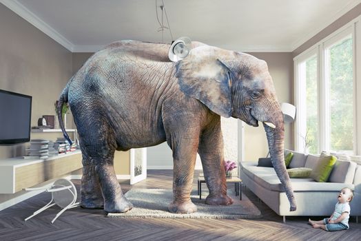 Big elephant and the baby  in the living room. 3d concept