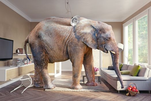 Big elephant and the basket of apples  in the living room. 3d concept