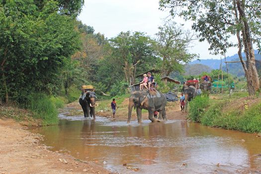 Trip on elephants in Khao Sok National Park. Southern Thailand.