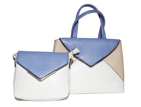 The photograph shows a female handbag on a white background