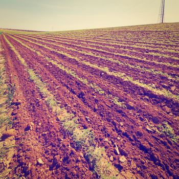  Plowed Fields in Israel, Instagram Effect