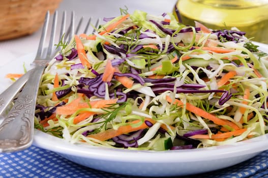 Salad   coleslaw red and white cabbage with carrots and cucumber