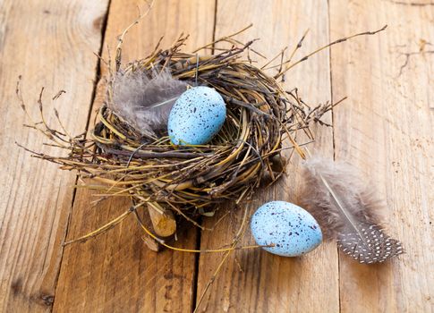 egg in birds nest on wooden background