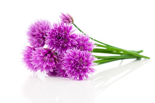 bunch Flowering onions isolated on white background