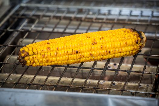 a cooked sweet corn is ready to eat