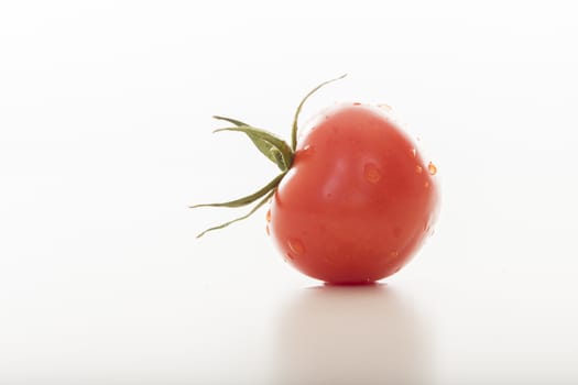 fresh tomato