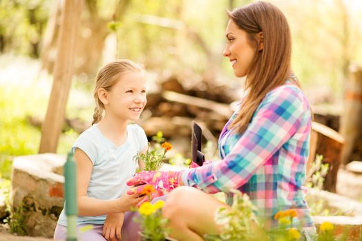 Cute little girl assisting her mother planting flowers in a backyard.