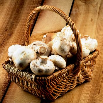 Basket Full of Perfect Big Raw Champignons closeup on Rustic Wooden background