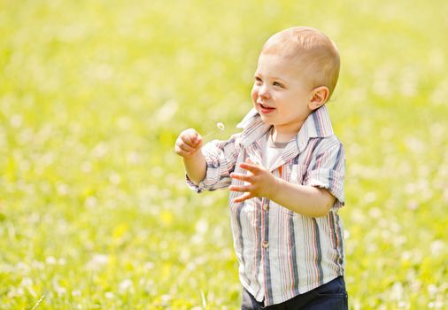 Little boy on the grass background with dandelion