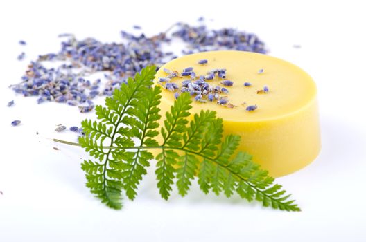 Lavender massage oil on a white background with a flower fern