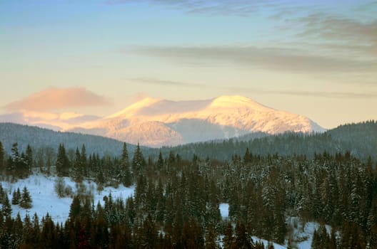 Carpathian mountain valley covered with fresh snow. Majestic landscape. Ukraine, Europe