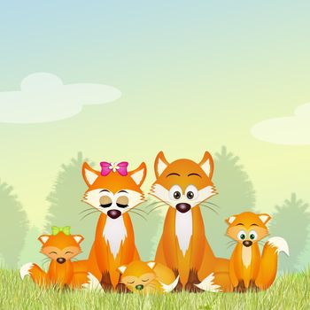 illustration of red fox family