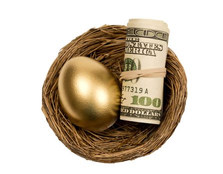 Golden egg with roll of money resting in a nest and isolated on white background