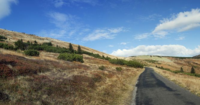 blue sky summer  mountain scene, trip on top