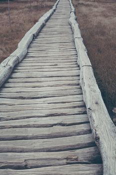 old wooden path in natural national park