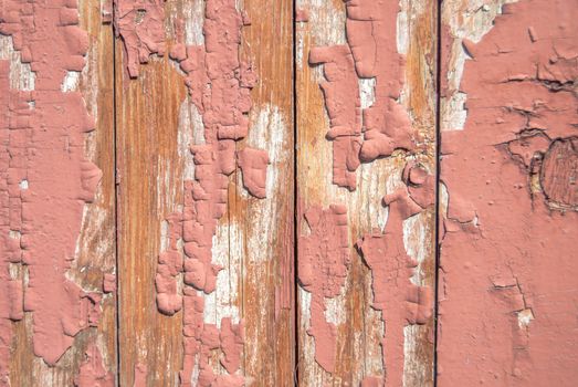 texture of wooden surface with remnants of old paint that has dried and cracked under the influence of weather