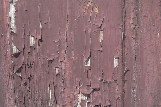 texture of wooden surface with remnants of old paint that has dried and cracked under the influence of weather