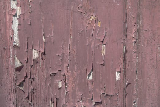 texture of wooden surface with remnants of old paint that has dried and cracked under the influence of weather