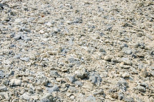 Scrap coral on beach, dead coral types under sea washed up on the sand, at the Cape Coral Phangnga, Thailand.