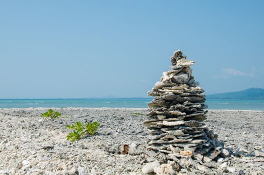 Scrap coral on beach, dead coral types under sea washed up on the sand, at the Cape Coral Phangnga, Thailand.