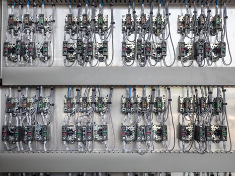 Inside of industrial switch cabinet with marked cables.