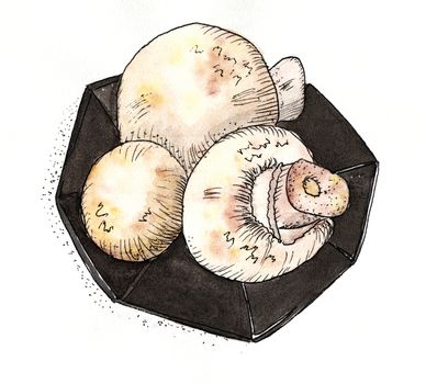 Mushrooms Champignon - watercolor drawing. 3 mushroom on a plate. On a white background