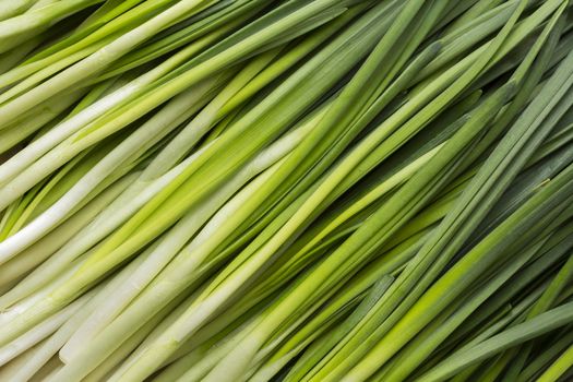 Leaves of onion closeup with water drops