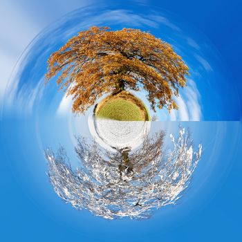 two season little planet concept, orange autumn tree on a green meadow and blue sky with clouds and with snow in frosty day. Ecology concept. Save world nature project. Tiny two season planet