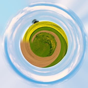 Beautiful curves and lines of summer rural landscape with rape field and blue sky. Rural landscape. Spring landscape. Beautiful Little planet with green grass, ecology concept. Tiny green planet
