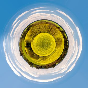 Beautiful summer rural landscape with rape field and blue sky. planet of rural landscape. Spring landscape. Yellow rape field countryside. Little planet with yellow rape, ecology concept. Tiny planet