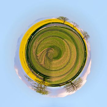 Beautiful summer rural landscape with rape field and blue sky. planet of rural landscape. Spring landscape. Yellow rape field countryside. Little planet with yellow rape, ecology concept. Tiny planet
