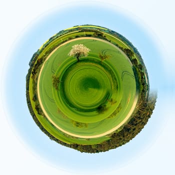 Planet of green spring rural landscape with green field. Rural landscape. Spring landscape. Field in countryside. Beautiful Little planet with green grass, ecology concept. Tiny green planet