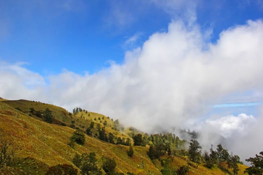 Landscape on mountain with grass and cloud