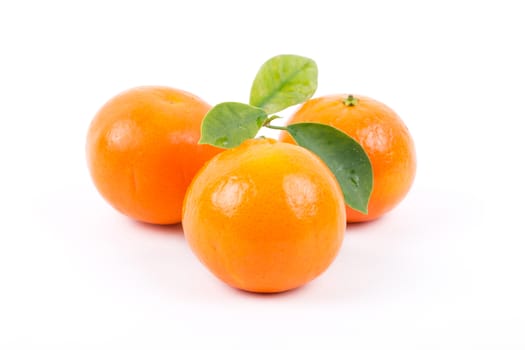 Tangerines with leaves on white background