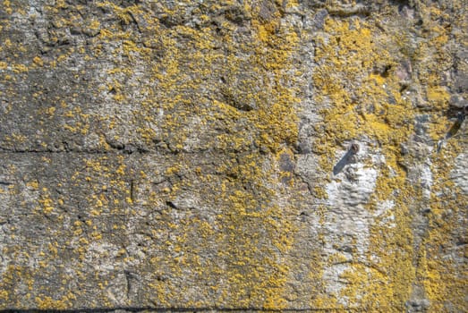 fragment of a concrete wall, which has undergone deformation due to prolonged exposure to various climatic conditions