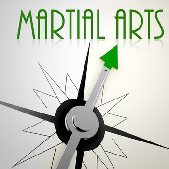 Martial Arts on green compass. Concept of healthy lifestyle