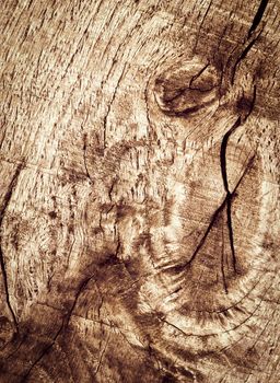 abstract background or texture detail oak old wood