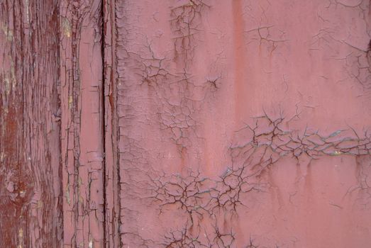 texture of wooden surface with remnants of old paint that has dried and cracked under the influence of weather