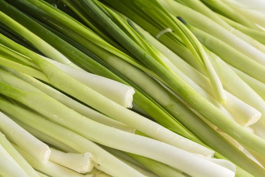 Leaves of onion closeup with water drops